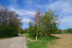 Diósd